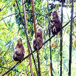 ��Ͻ����